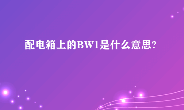 配电箱上的BW1是什么意思?