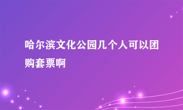 哈尔滨文化公园几个人可以团购套票啊