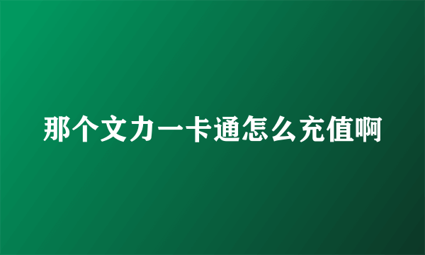 那个文力一卡通怎么充值啊