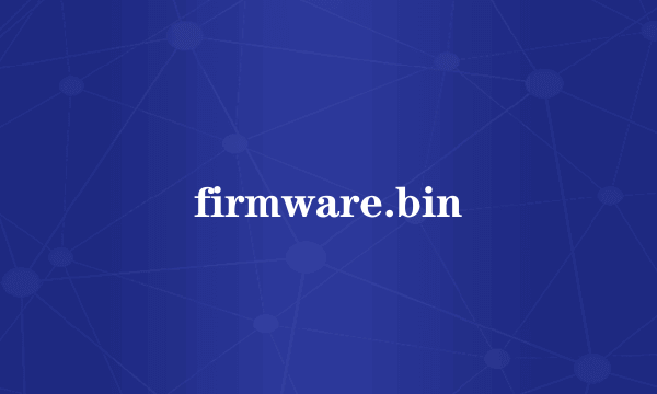 firmware.bin
