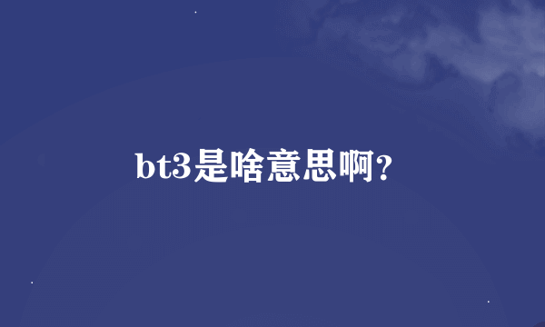 bt3是啥意思啊？