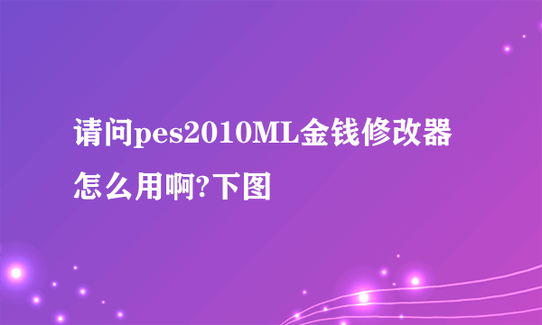 请问pes2010ML金钱修改器怎么用啊?下图