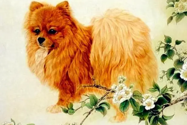 反哺之私打一准确生肖