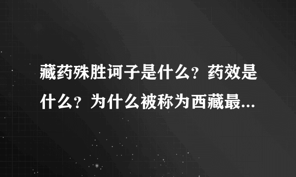 藏药殊胜诃子是什么？药效是什么？为什么被称为西藏最珍贵的药？
