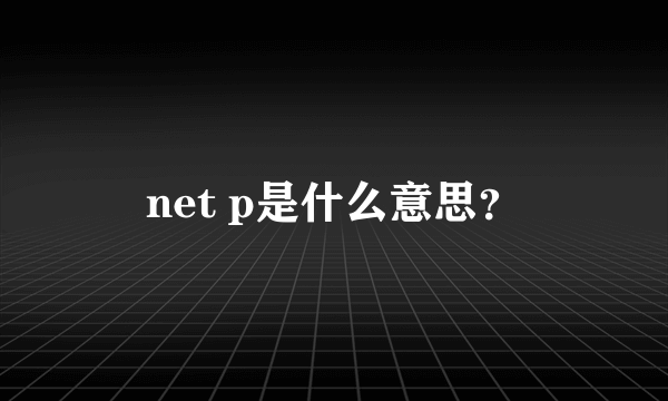 net p是什么意思？