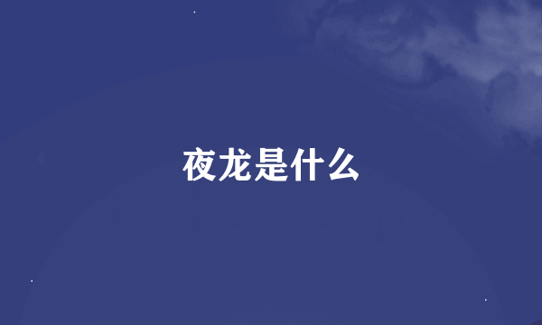 夜龙是什么