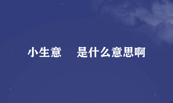 小生意気 是什么意思啊