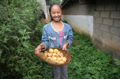 柳彝后来怎样了