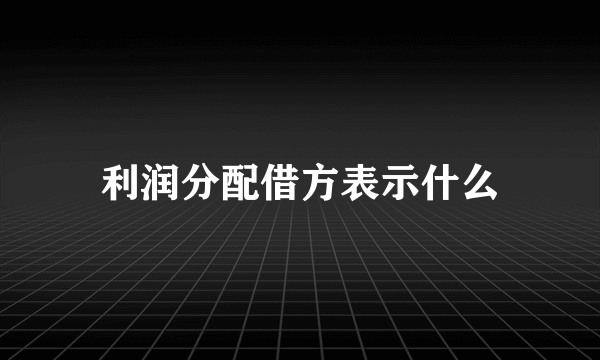 利润分配借方表示什么