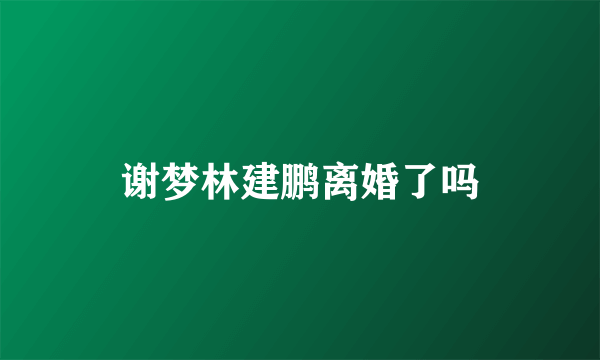 谢梦林建鹏离婚了吗