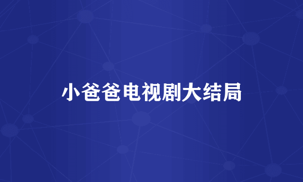 小爸爸电视剧大结局