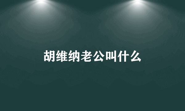 胡维纳老公叫什么