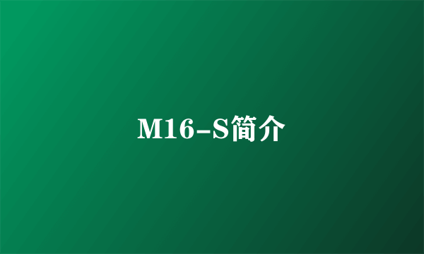 M16-S简介