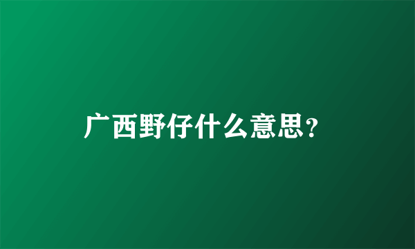 广西野仔什么意思？
