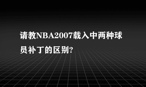 请教NBA2007载入中两种球员补丁的区别?