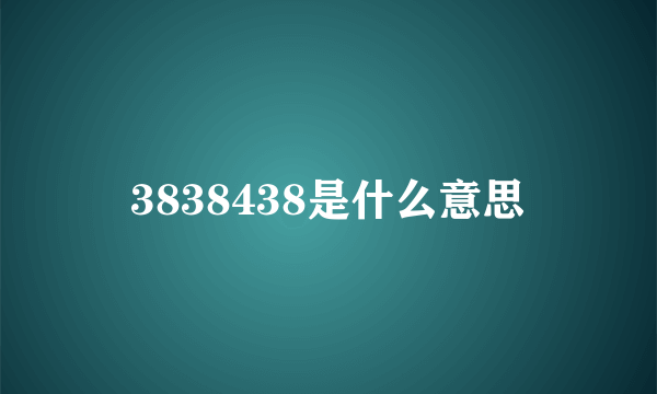 3838438是什么意思