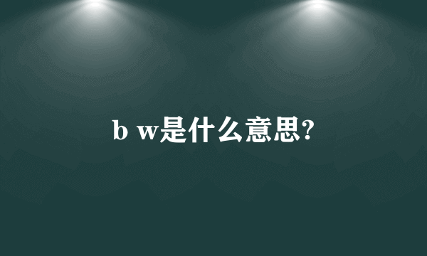b w是什么意思?