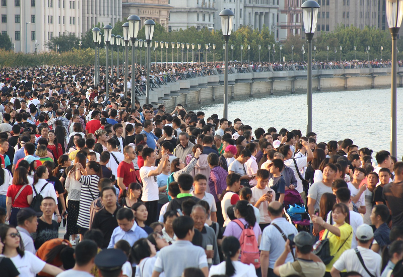 沸沸扬扬打一生肖