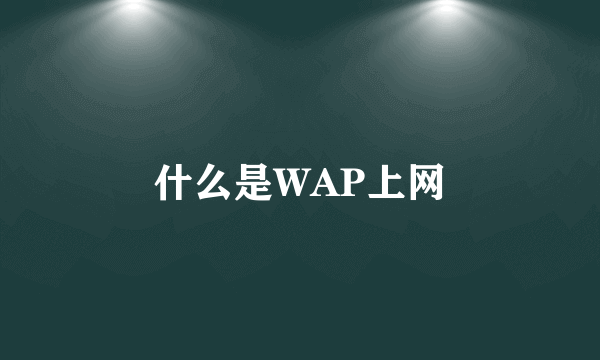 什么是WAP上网