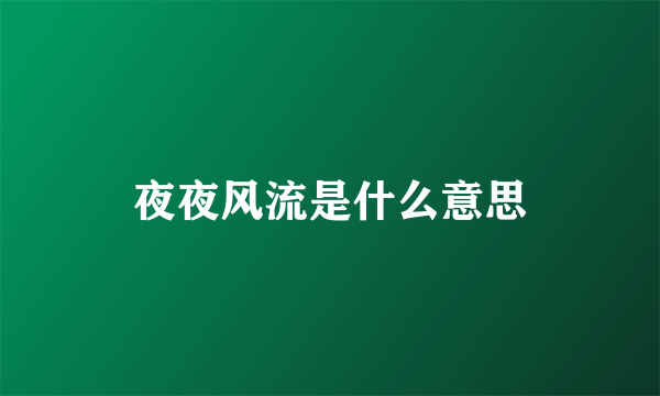 夜夜风流是什么意思