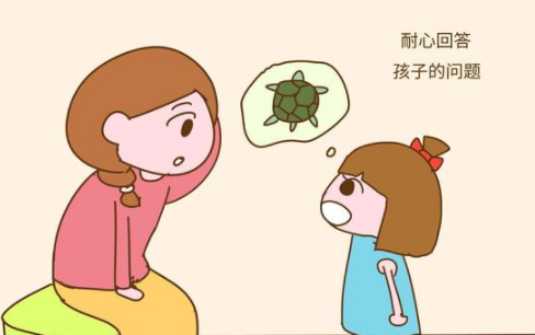 好奇心害死人下一句怎么回答