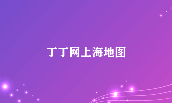 丁丁网上海地图