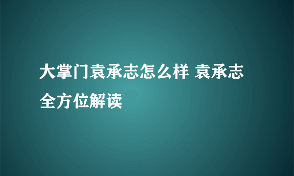 大掌门袁承志怎么样 袁承志全方位解读