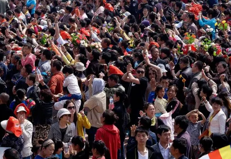 沸沸扬扬打一生肖