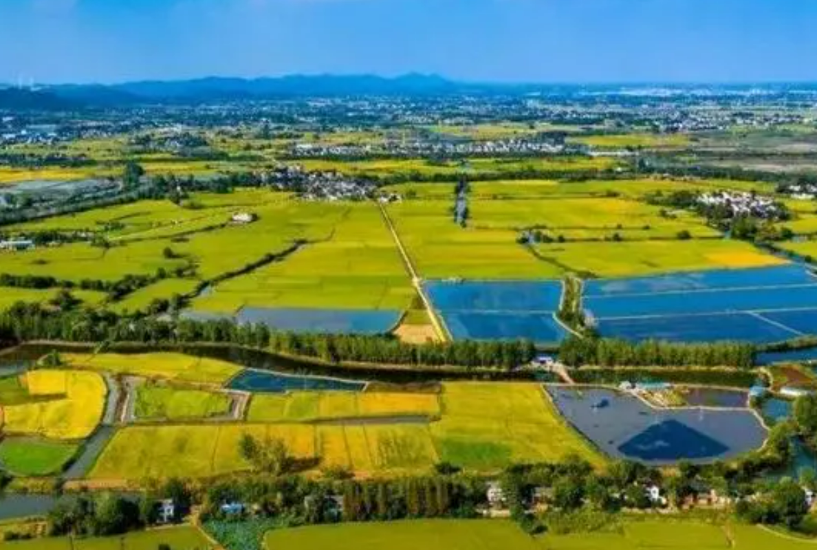 乡村振兴两率一度是指