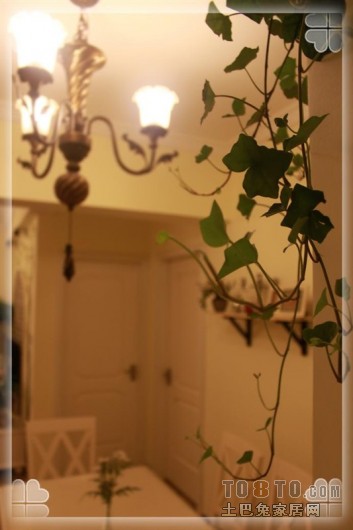 什么牌子的墙面漆好 墙面漆十大品牌