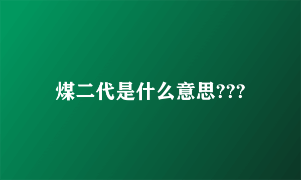 煤二代是什么意思???
