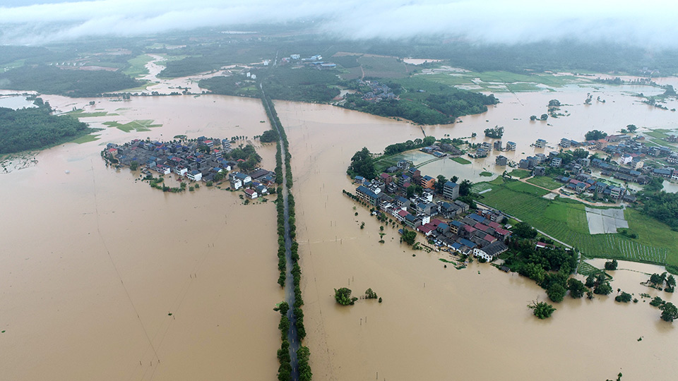 河南暴雨，南阳临街商铺被淹，这场大暴雨造成的损失有多大？