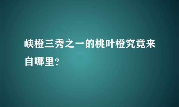 峡橙三秀之一的桃叶橙究竟来自哪里？