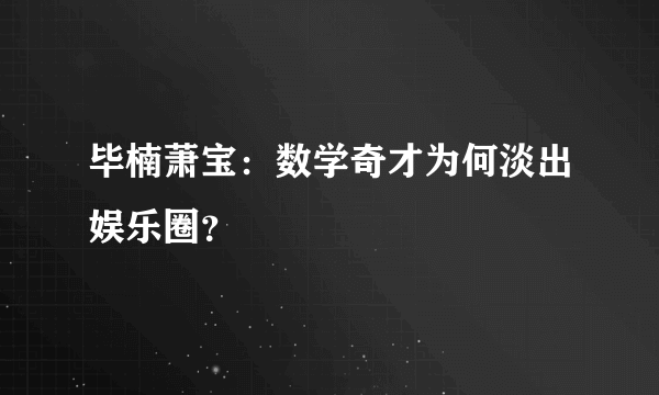 毕楠萧宝：数学奇才为何淡出娱乐圈？