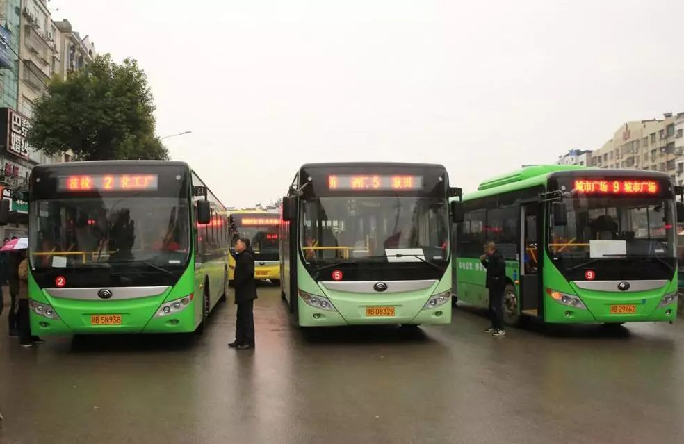 公交司机买500个哆啦A梦装扮车厢,是为了装饰好看吗?