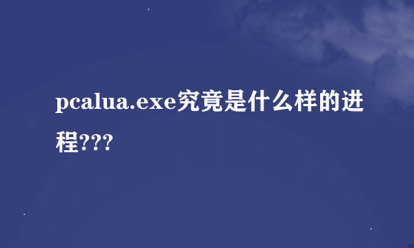 pcalua.exe究竟是什么样的进程???