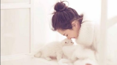 市场待宰活猫被解救后查出猫瘟,猫瘟是否会传染给人类?