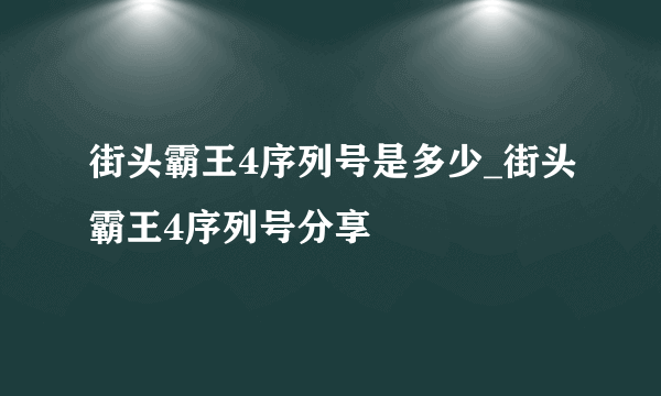 街头霸王4序列号是多少_街头霸王4序列号分享