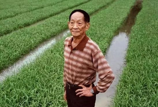 四川一店铺擅用袁隆平当店名，最终得到了什么处罚？