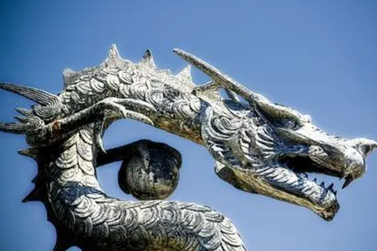 天奇地怪打一生肖