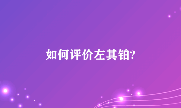 如何评价左其铂?