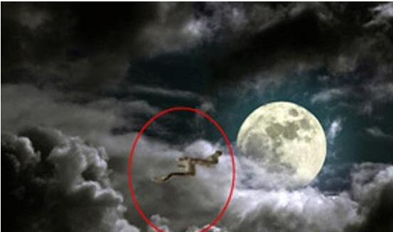 夜猫口神龙事件,龙的存在是否存在过?