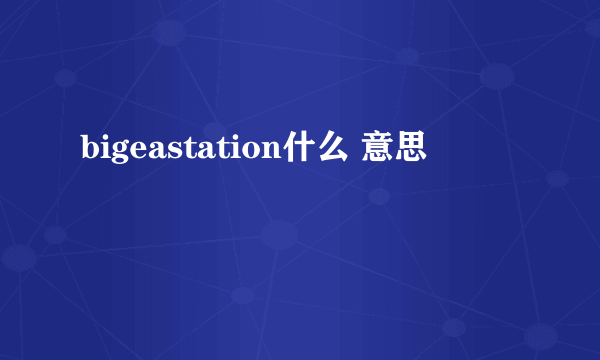 bigeastation什么 意思