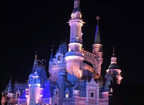 美术学院建筑酷似迪士尼,网友为何褒贬不一?