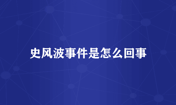 史风波事件是怎么回事