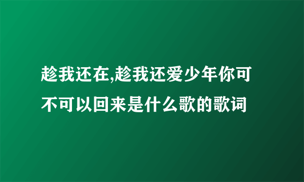 趁我还在,趁我还爱少年你可不可以回来是什么歌的歌词