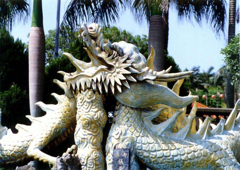 天奇地怪打一生肖