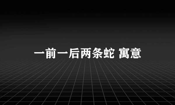一前一后两条蛇 寓意