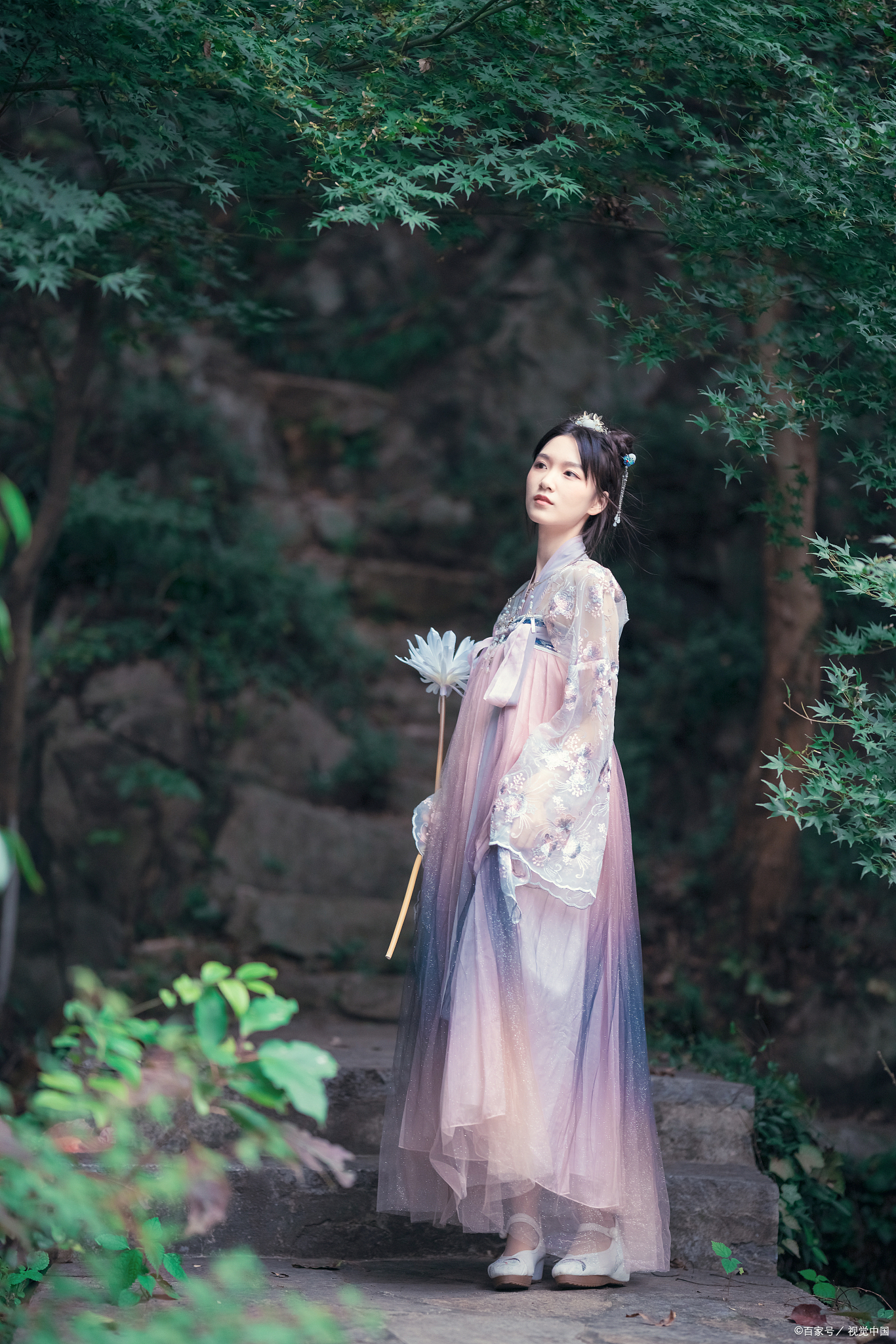 高圆圆为何被称作炮架