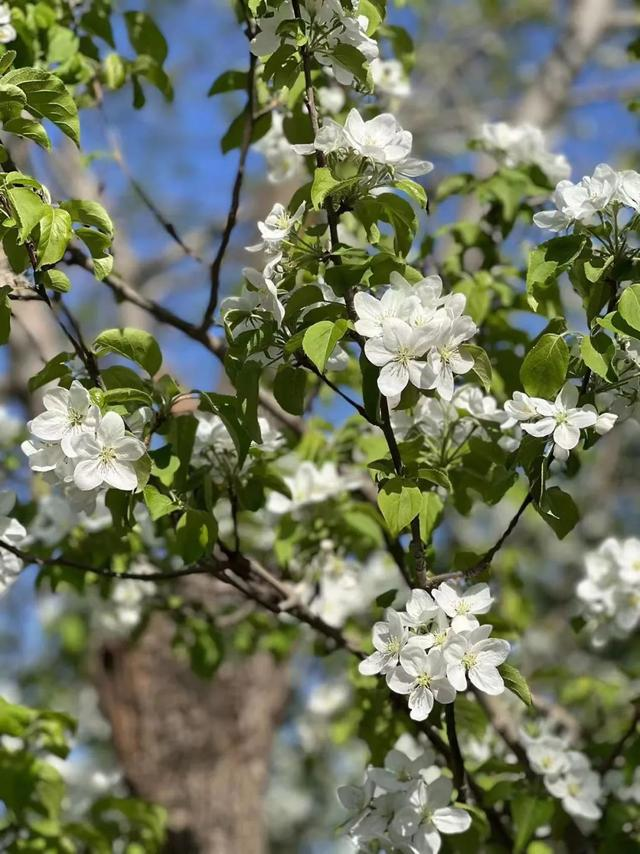 人在上海,“静止”了30天,隔离期间到底遭遇了什么?